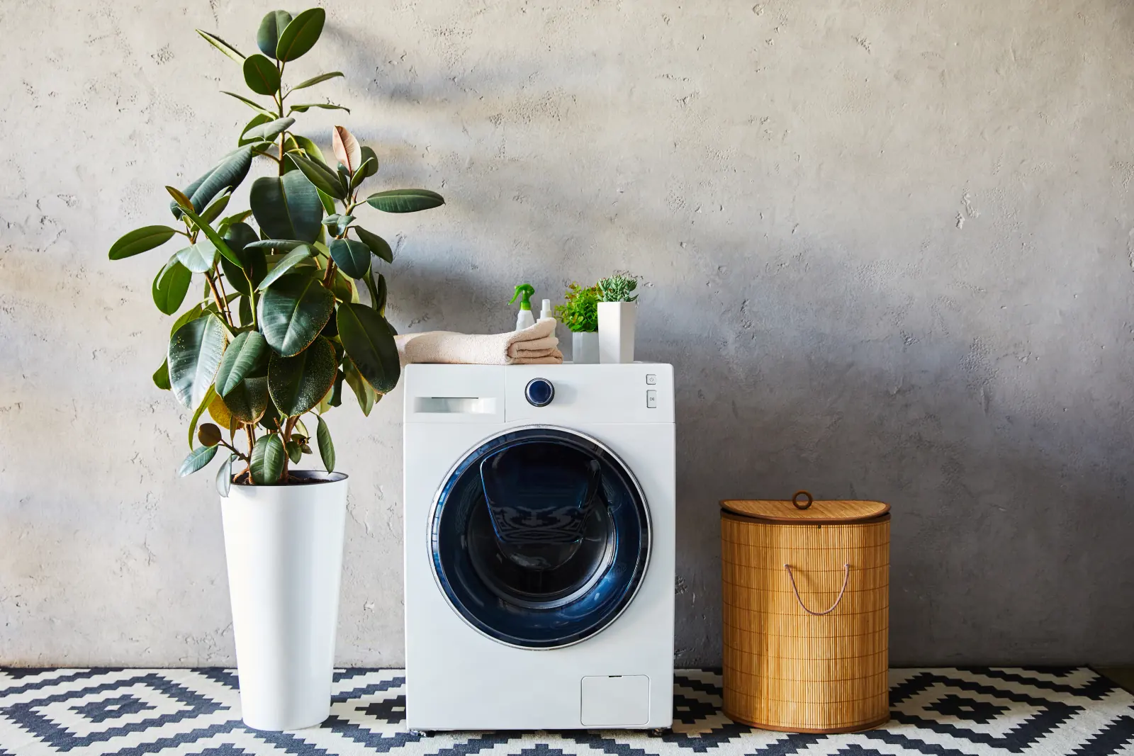Lave-linge dans une buanderie claire, à côté d'une plante verte